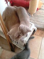 με τη μαμά.jpg