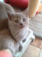 τι κοιτάς.jpg