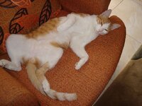 Σεπτεμβριος 2008 033 Α.jpg