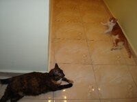 Σεπτεμβριος 2008 041 Α.jpg