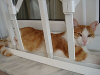 Σεπτεμβριος 2008 035 3.jpg