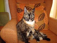 Σεπτεμβριος 2008 050 3.jpg