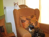 Σεπτεμβριος 2008 046 3.jpg