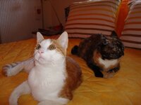 Σεπτεμβριος 2008 057 β.jpg