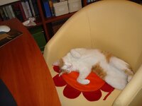 Σεπτεμβριος 2008 049 β.jpg