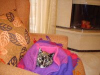 Σεπτεμβριος 2008 21.09 004 α.jpg