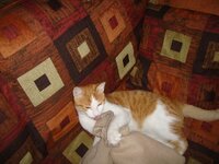 Σεπτεμβριος 2008 21.09 002 α.jpg