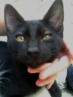 Εικόναkinhtou 057.jpg