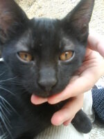 Εικόναkinhtou 058.jpg