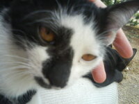 Εικόναkinhtou 060.jpg