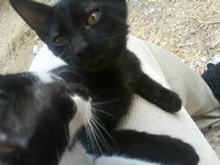 Εικόναkinhtou 059.jpg