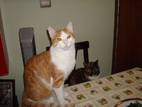 Σεπτεμβριος 2008 21.09 035 2.jpg