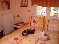 Σεπτεμβριος 2008 21.09 042 2.jpg