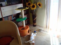 Σεπτεμβριος 2008 21.09 039 2.jpg