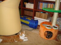 Ονυχοδρομιο Α 1.jpg