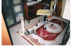 Μυρτουλα μωρακι 3 Β.jpg