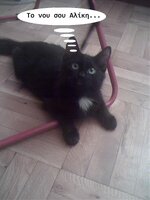 το νου σου.jpg