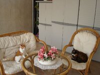 Βεραντα 003 Α.jpg