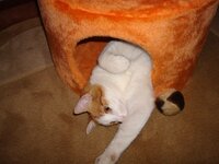 Αρης στο ονυχοδρομειο 002 Α.jpg