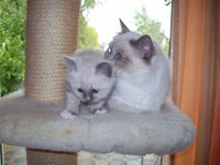 2008-10-05 004[1] (2).jpg