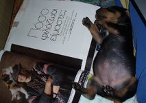 Αντίγραφο από PA070006.jpg