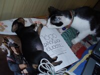 Αντίγραφο από PA070001111.jpg