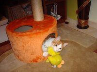 Αρουλης στο ονυχοδρομιο α.jpg