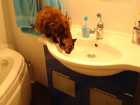 Φωτο στο μπανιο 001 α.jpg