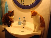 Φωτο στο μπανιο 006 α.jpg