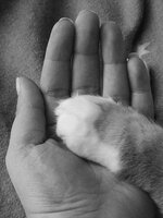 20080720_1098454316_83.jpg