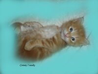 DSC05119 αντίγραφο.jpg