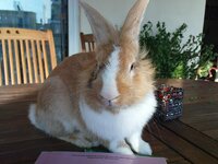 Τι κάνεις εκεί;.jpg