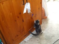 Αντίγραφο από DSCF0053.JPG