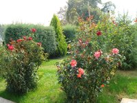 Χωριο Οκτωβρης 08 009 α.jpg