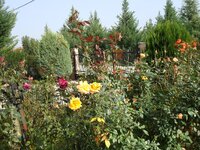 Χωριο Οκτωβρης 08 010 α.jpg