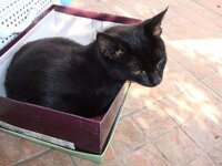 Αδης και Αρης 002 α.jpg