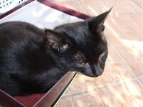 Αδης και Αρης 003 α.jpg