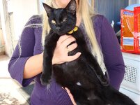 Αδης και Αρης 007 α.jpg