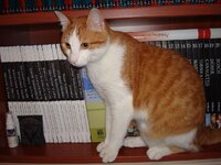 Αδης και Αρης 006 α.jpg