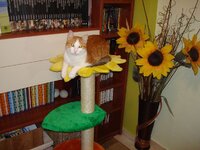 Αδης και Αρης 008 α.jpg