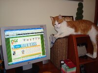 Αδης και Αρης 009 α.jpg