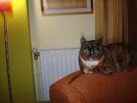 Αδης και Αρης 010 α.jpg