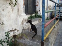 ΞΑΝΘΗ-08 014 α.jpg