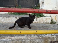 ΞΑΝΘΗ-08 016 α.jpg