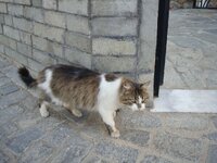 ΞΑΝΘΗ-08 036 α.jpg