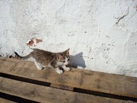 ΞΑΝΘΗ-08 030 α.jpg