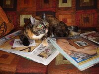 Φωτογραφιες 2 003 α.jpg