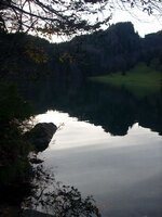 Julie_November (5).JPG