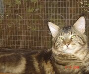 troy10months (6).JPG