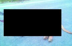 FRIKH STHN KRHTH2.jpg